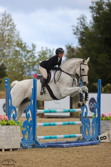maya on white horse